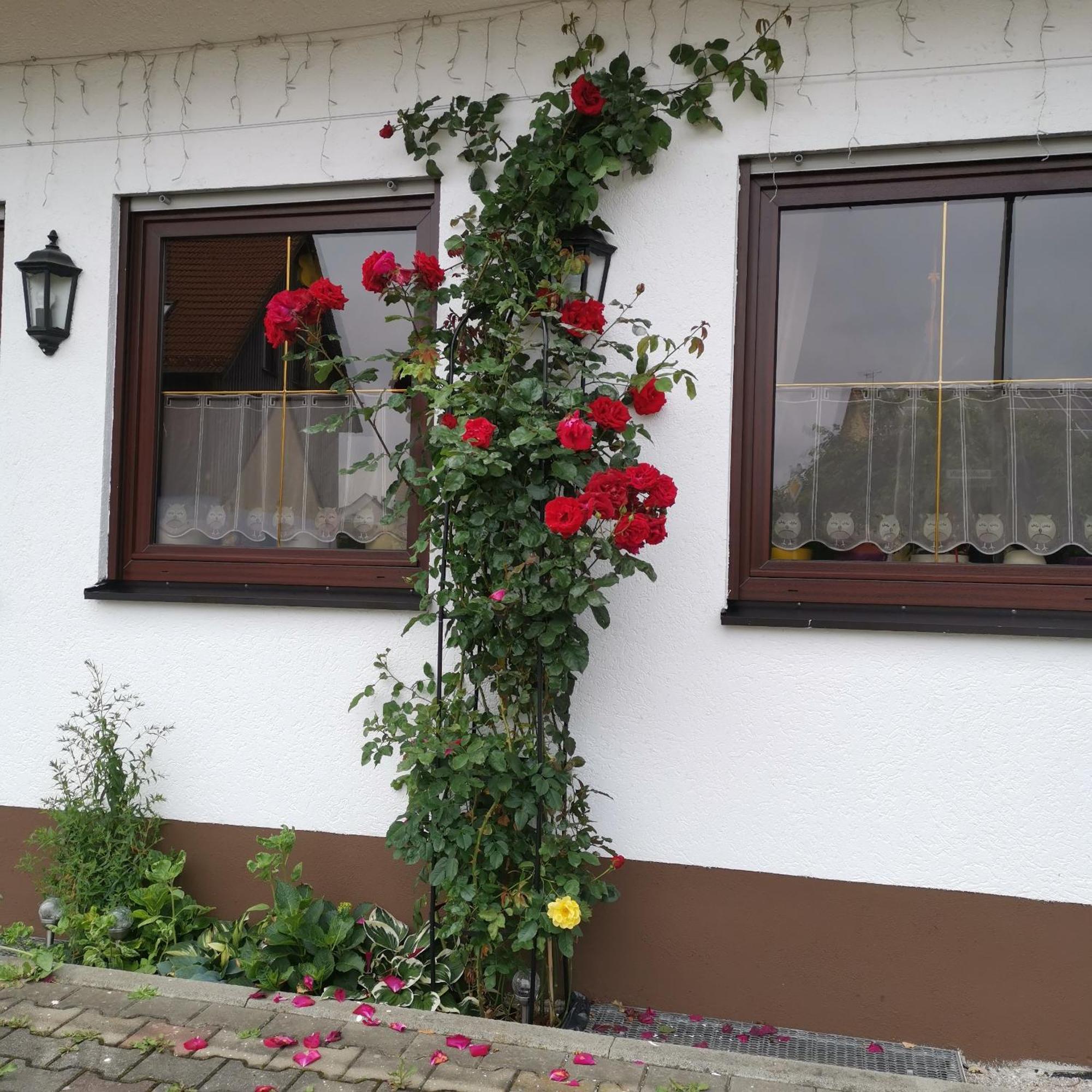 Frankenstube-Winkelhaid Exterior photo